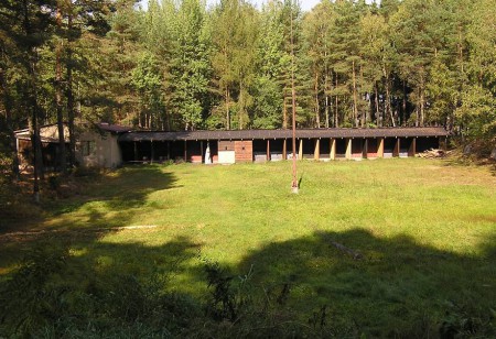 2004